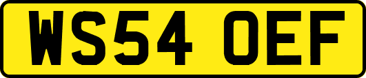 WS54OEF