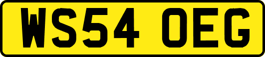 WS54OEG