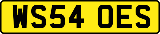 WS54OES