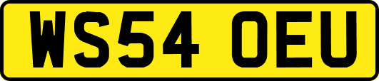 WS54OEU