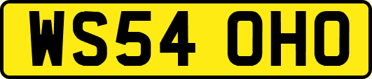 WS54OHO