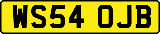 WS54OJB