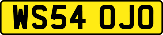 WS54OJO