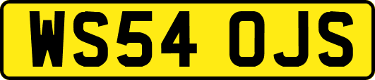WS54OJS