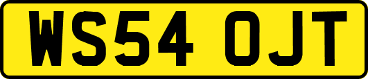 WS54OJT