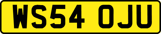 WS54OJU
