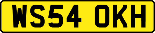 WS54OKH