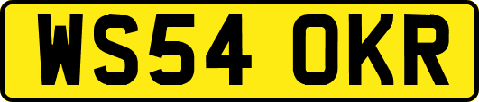 WS54OKR