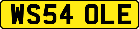 WS54OLE