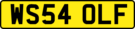 WS54OLF