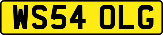 WS54OLG