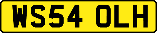 WS54OLH