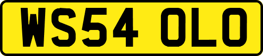 WS54OLO