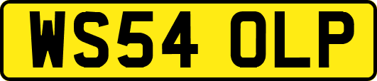 WS54OLP