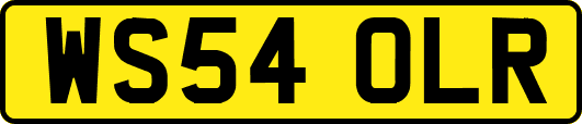WS54OLR