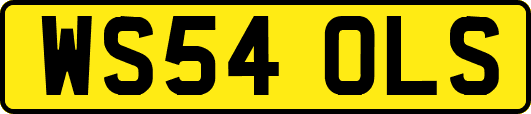 WS54OLS