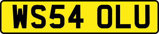 WS54OLU