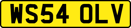 WS54OLV