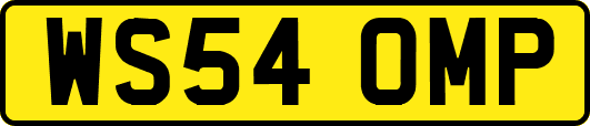 WS54OMP