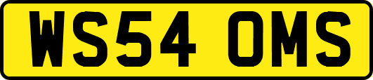 WS54OMS