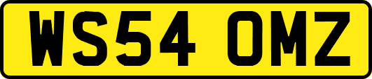 WS54OMZ