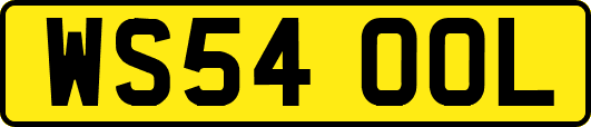 WS54OOL