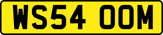 WS54OOM