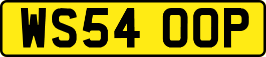 WS54OOP