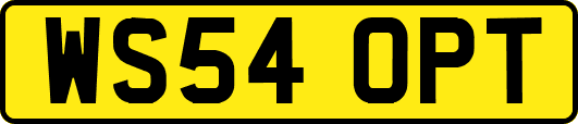 WS54OPT