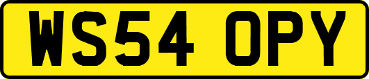 WS54OPY