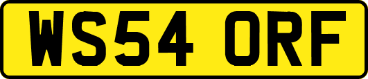 WS54ORF