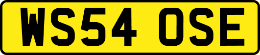 WS54OSE