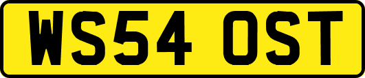 WS54OST