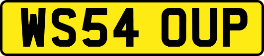 WS54OUP