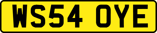 WS54OYE