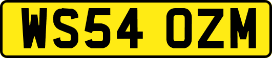 WS54OZM