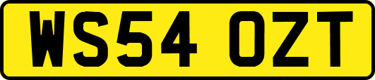 WS54OZT