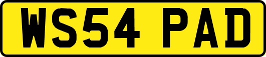 WS54PAD