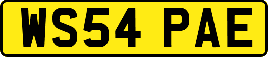 WS54PAE