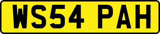 WS54PAH