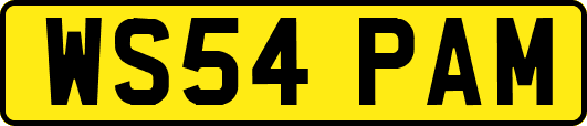 WS54PAM