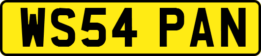 WS54PAN
