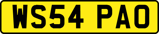WS54PAO