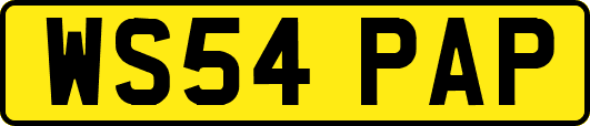 WS54PAP
