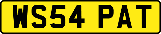 WS54PAT