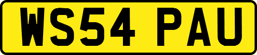 WS54PAU
