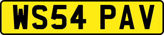 WS54PAV