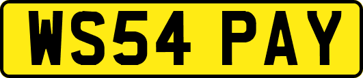 WS54PAY
