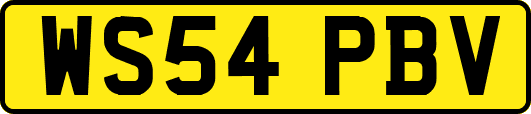 WS54PBV