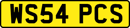 WS54PCS